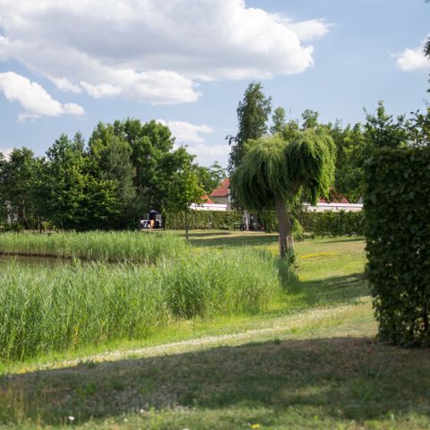 Resort Boschmolenplas - Camping Maasgouw - Image N°3