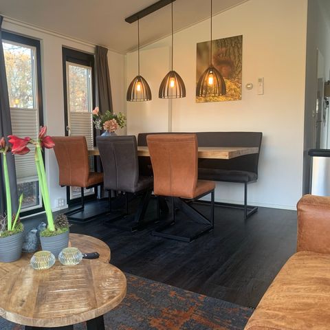 Bungalow 4 Personen - Forest Lodge 55 mit Jacuzzi Bungalow 4 Personen - Forest Lodge 55 mit Jacuzzi