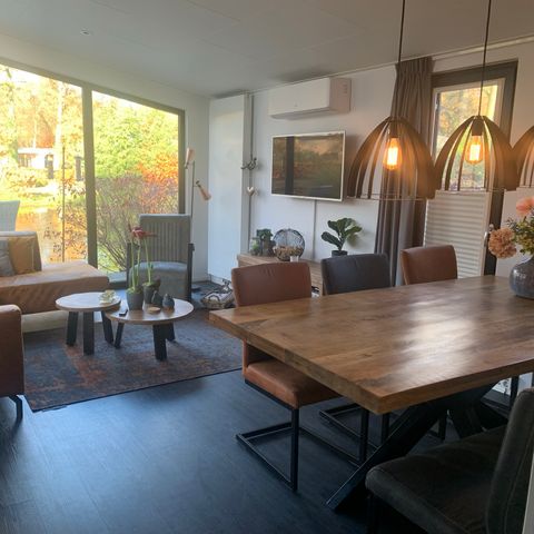 Bungalow 4 Personen - Forest Lodge 55 mit Jacuzzi Bungalow 4 Personen - Forest Lodge 55 mit Jacuzzi