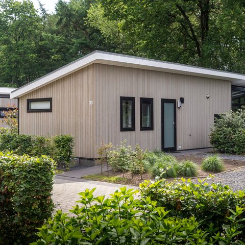 Bungalow 6 personen - Forest Lodge 55 mit Whirlpool