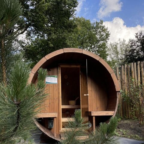 Bungalow 4 Personen - Tiny Lodge Eco mit Whirlpool und Sauna