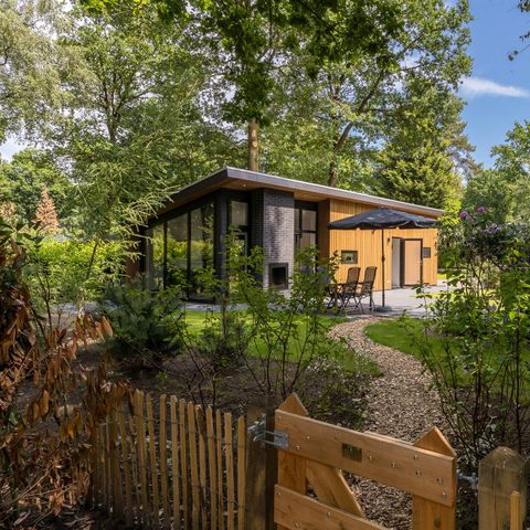 Bungalow 4 Personen - Forest Lodge 55 Eco mit Sauna