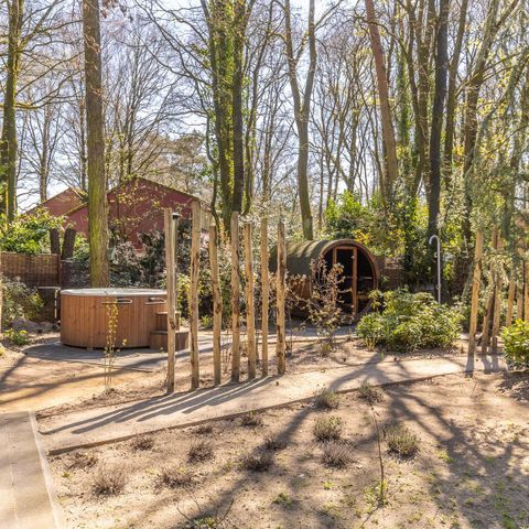 Bungalow 6 Personen - Forest Eco mit Whirlpool und Sauna Bungalow 6 Personen - Forest Eco mit Whirlpool und Sauna