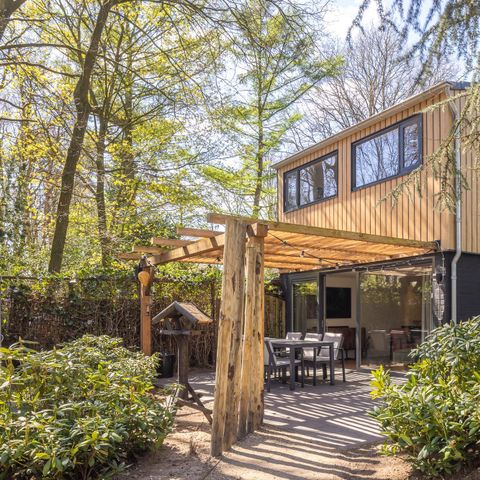 Bungalow 6 Personen - Forest Eco mit Whirlpool und Sauna