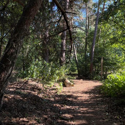 Bungalow 2 Personen - Wood Lodge Eco