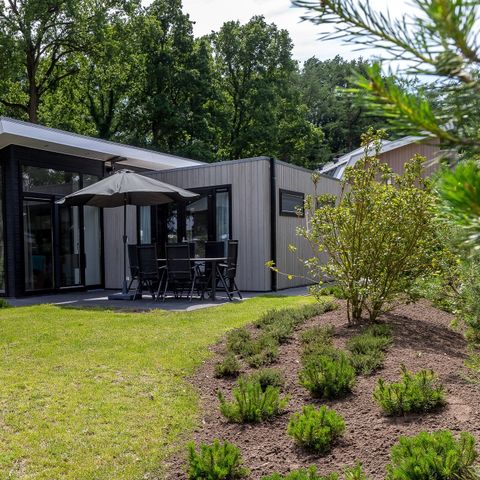 Bungalow 6 personen - Forest Lodge 75 mit Whirlpool und Sauna