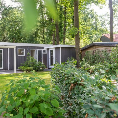 Bungalow 4 personen - Park Lodge mit Whirlpool