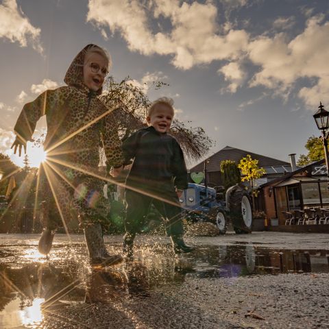 Landgoed Ruwinkel - Scherpenzeel - Image N°5
