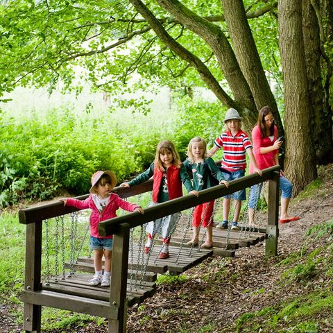 Ferienpark Ronshausen - Camping Hessen - Image N°5