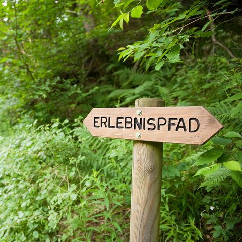 Ferienpark Ronshausen - Camping Hessen - Image N°4