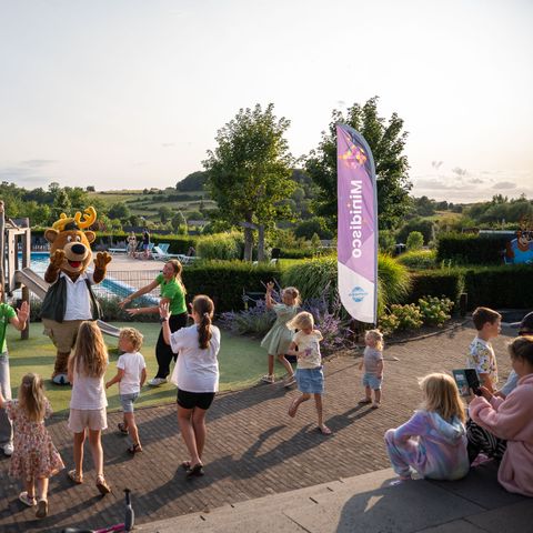 TopParken Résidence Valkenburg - Camping Valkenburg an der Geul - Image N°4