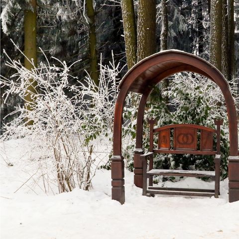 Apartement 4 Personen - 2+2 Kinder DAN908