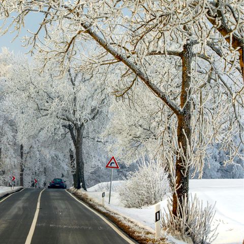 FERIENHAUS 4 Personen - 2+2 Kinder DAN911