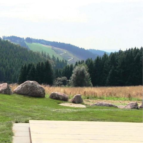 Mobilheim 6 Personen - Mobilheim/Chalet 4+2 Kinder DAN928