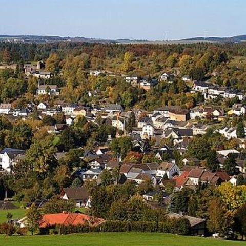 Feriendorf Reinskopf - Camping Rheinland-Pfalz - Image N°5