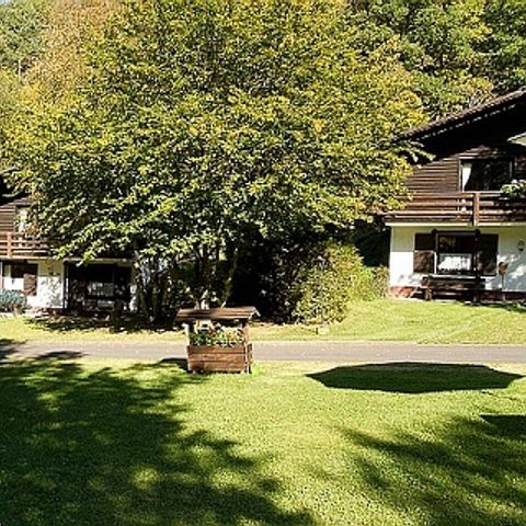 Feriendorf Reinskopf - Camping Rheinland-Pfalz - Image N°6