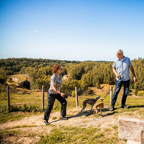 FERIENHAUS 4 Personen - Ravenbosch - Sauna & Ambientekamin