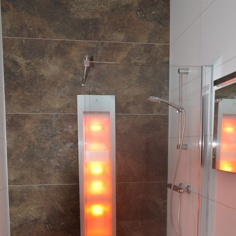 FERIENHAUS 4 Personen - Biebosch - Sonnenblume