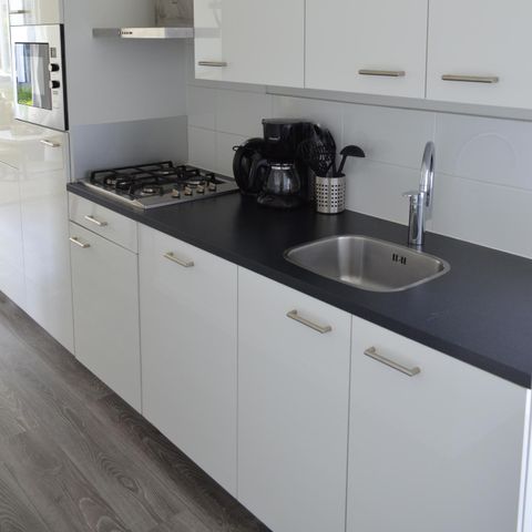 FERIENHAUS 4 Personen - Biebosch - Sonnenblume