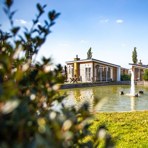 FERIENHAUS 4 Personen - Biebosch - Sonnenblume