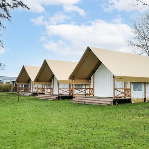Zelt 6 Personen - Zelt Glamping