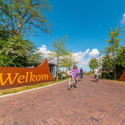 Zelt 4 Personen - Zelt Glamping