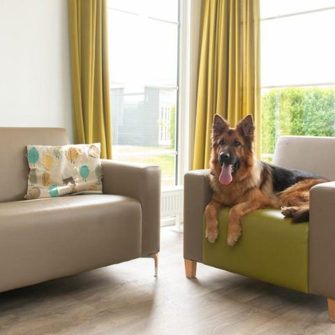 Chalet 6 Personen - Comfort Lodge | 6 Personen(50 m²)- Hunde erlaubt