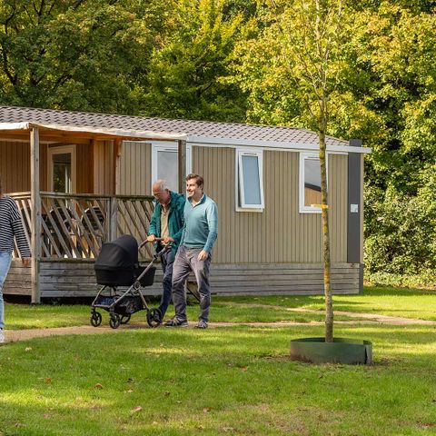 Chalet 5 Personen - Uferschnepfe