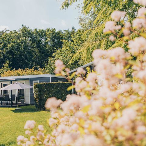 Bungalow 6 Personen - Waldrand