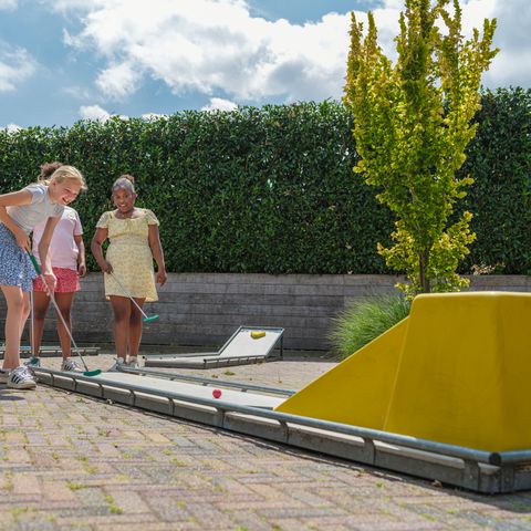 Vakantiepark Ackersate Vakantiepark Ackersate - Camping Barneveld - Image N°5