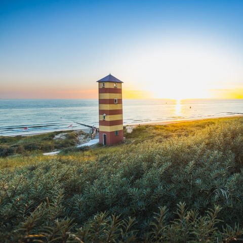 Landal Noordzee Résidence Dishoek - Veere - Image N°4