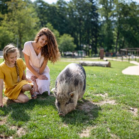 Center Parcs Les Ardennes - Belgisches Luxemburg - Image N°5