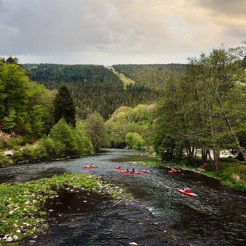 Center Parcs Les Ardennes - Belgisches Luxemburg - Image N°3
