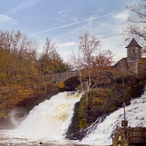 Center Parcs Les Ardennes - Belgisches Luxemburg - Image N°4