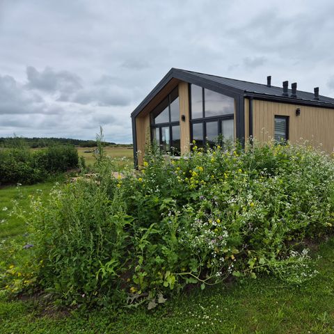 FERIENHAUS 4 Personen - Typ Dommel | 4 Personen