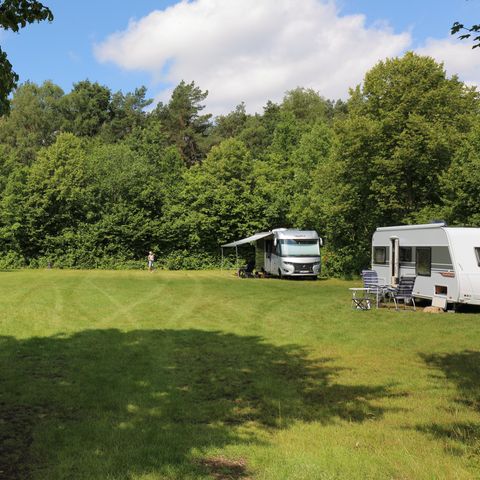 Camping Baalse Hei - Antwerpen - Image N°4