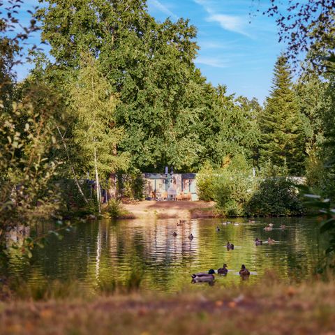 Center Parcs Park Nordseeküste - Camping Niedersachsen - Image N°4
