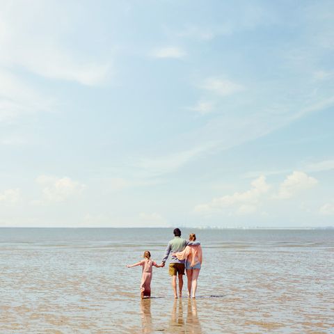 Center Parcs Park Nordseeküste - Niedersachsen - Image N°5