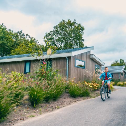 Zelt 6 personen - Glamping-Luxus