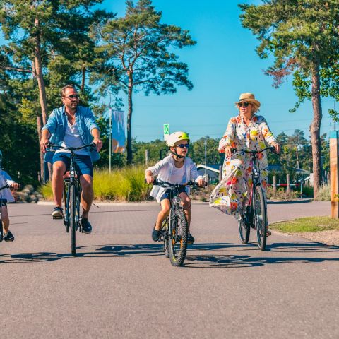 EuroParcs Zilverstrand - Camping Antwerpen - Image N°5