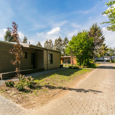 Bungalow 4 Personen - Waldhütte Mikah