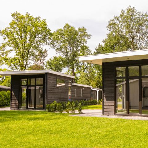 Bospark Markelo - Camping Hof von Twente - Image N°6