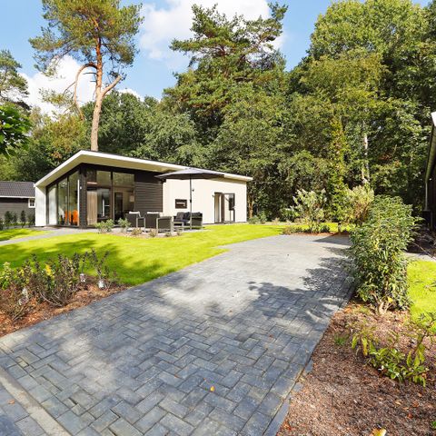 Bungalow 5 Personen - Waldhaus