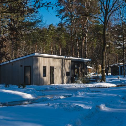Bungalow 4 Personen - Waldhaus