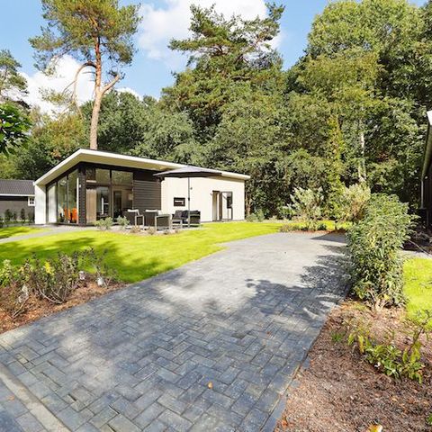 Bungalow 6 Personen - Waldhaus