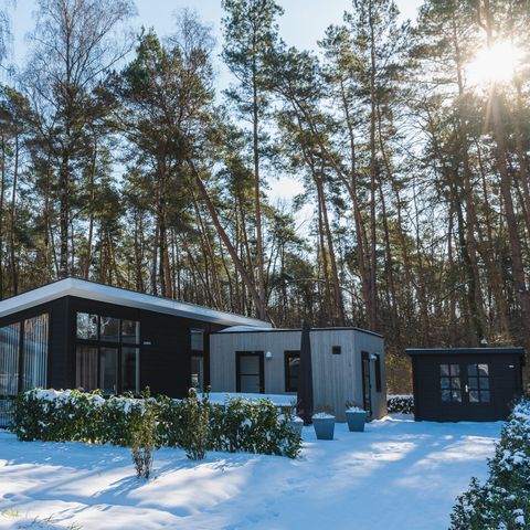 Bungalow 6 Personen - Waldhaus