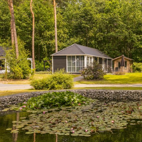 FERIENHAUS 6 Personen - Gebirgsstelze C29