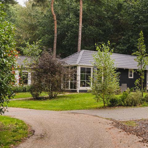 FERIENHAUS 6 Personen - Gebirgsstelze C29