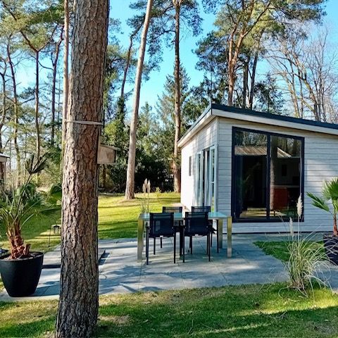 Lodge 3 personen - Forest Lodge Der schöne Ort
