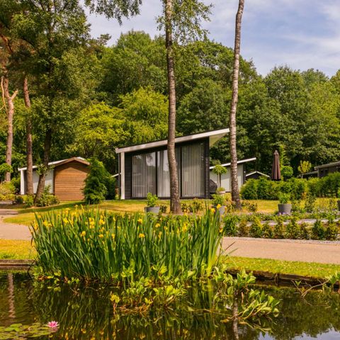 Bospark Markelo - Camping Hof von Twente - Image N°5